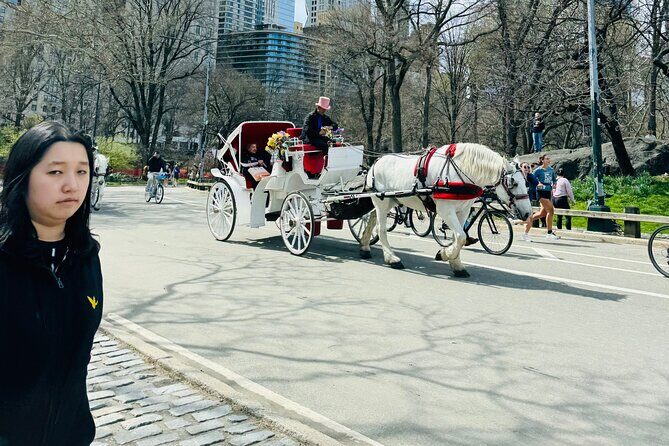 45 min Long VIP Central park carriage ride - Bethesda Terrace, the Skating Rink Area, and the Classic Central Park Carousel
