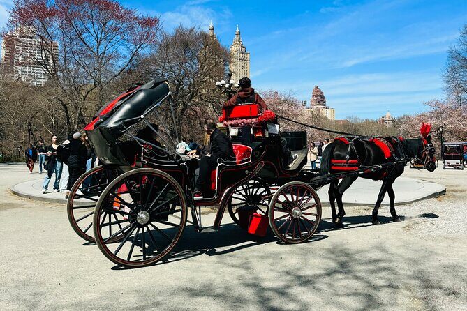 45 min Long VIP Central park carriage ride - Balto Statue and the Mall: Small Landmarks, Big Photo Energy