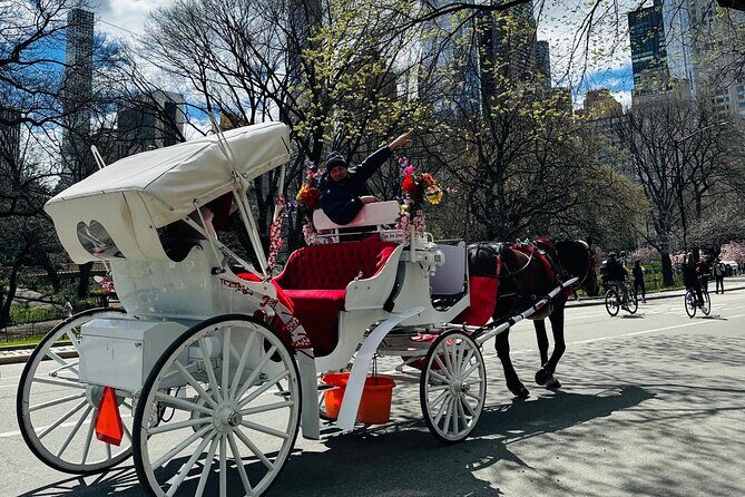 45 min Long VIP Central park carriage ride - Cherry Hill: The Get-Down Photo Stop That Makes the Ride Worth It
