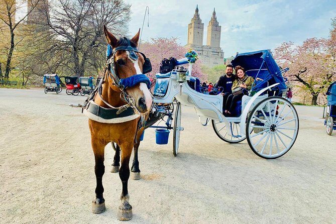 45 min Long VIP Central park carriage ride - Where You Meet on Central Park South and West Drive