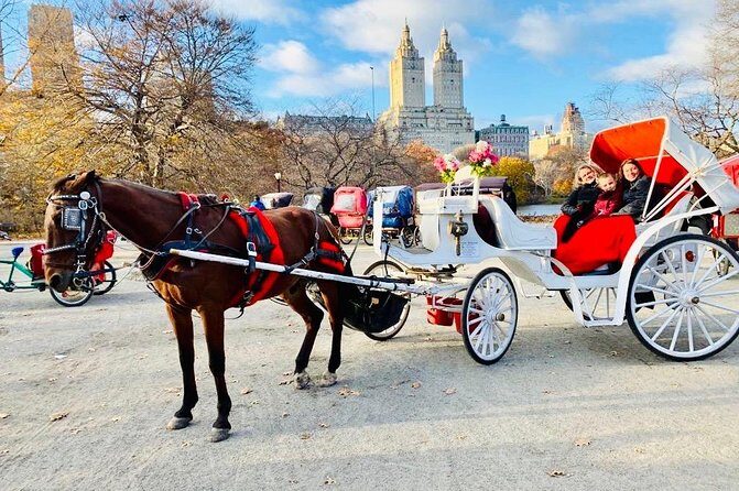45 Minute VIP Central Park Carriage Ride - The lower loop highlights you’ll glide past