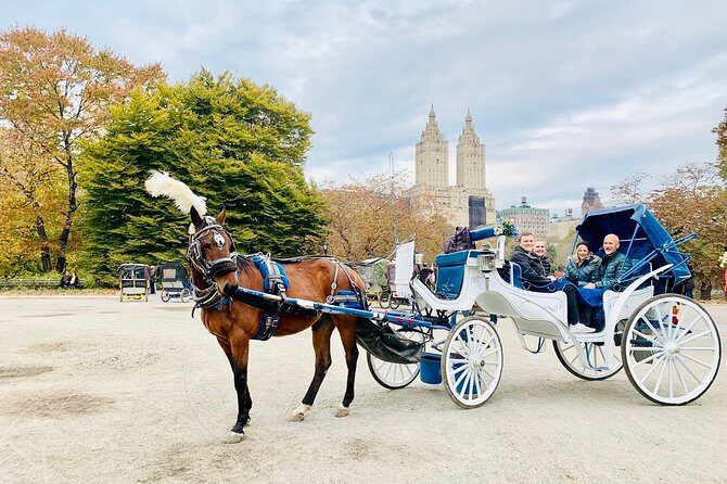 45 Minute VIP Central Park Carriage Ride - Practical tips so the ride feels smooth