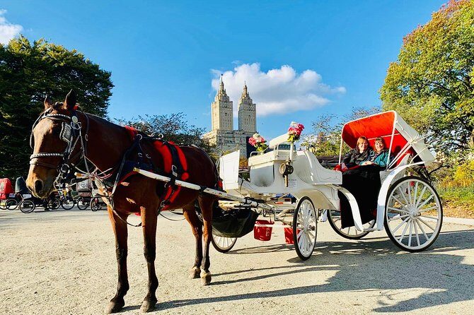 45 Minute VIP Central Park Carriage Ride - Is it worth booking? My take