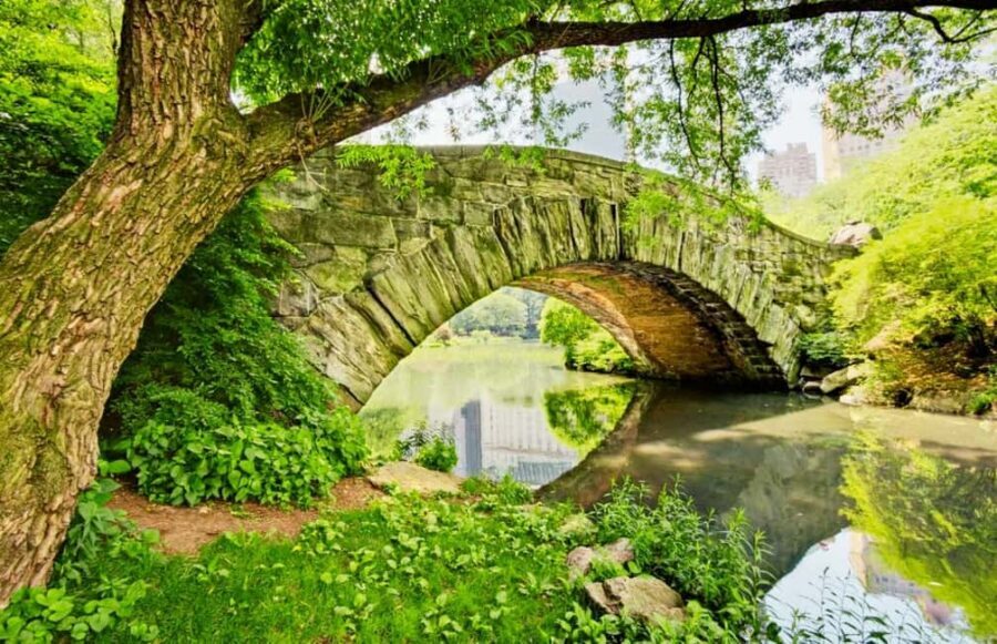 Best of Central Park: Top-Rated Pedicab Tour NYC - Key things I’d plan around on this tour