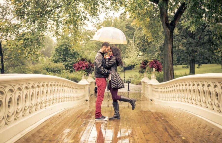 Best of Central Park: Top-Rated Pedicab Tour NYC - Bethesda Terrace and Cherry Hill: film-famous views with real weight