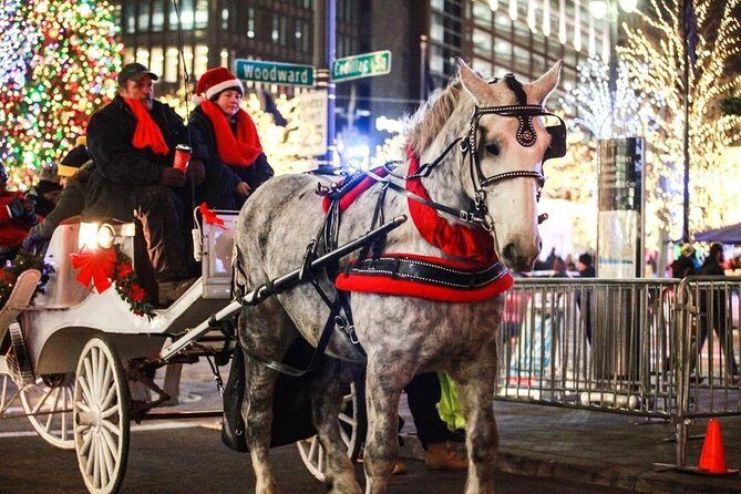 Carriage Ride in Central Park (VIP - PRIVATE) Since 1964™ - A Private Central Park Carriage Ride in the 50-Minute Sweet Spot