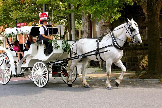 Carriage Ride in Central Park (VIP - PRIVATE) Since 1964™ - The 50-Minute Route: From Wollman Rink to Sheep Meadow