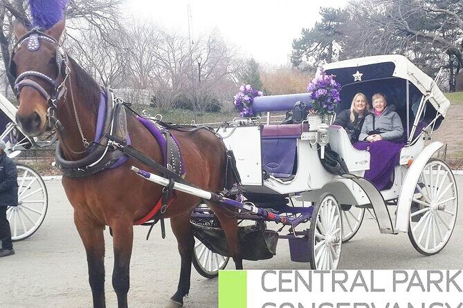 Carriage Ride in Central Park (VIP - PRIVATE) Since 1964™ - How the Ride Actually Feels: Pace, Photo Stops, and Getting Good Shots