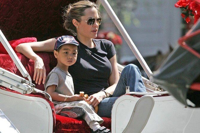 Carriage Ride in Central Park (VIP - PRIVATE) Since 1964™ - Who This Private Carriage Ride Fits Best