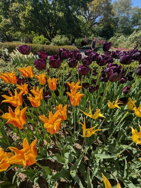 Central Park 5 Star Walking Tour led by Manhattan residents! - The Ramble and Belvedere Castle: the park’s quieter theater