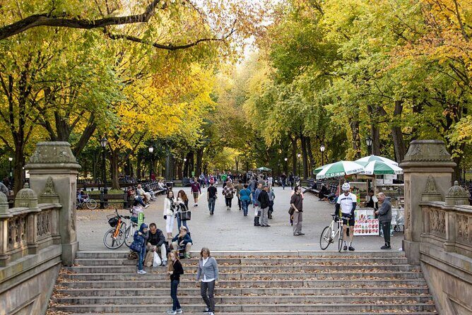 Central Park and 5th Avenue Walking Tour - How the 3-hour route keeps things fun (not frantic)