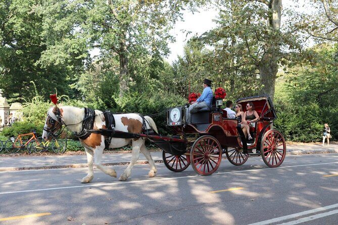 Central Park Carriage Ride w/ Drop Off @ Tavern On Green (45 min) - Feeding horses and winter blankets: what’s included and why it matters