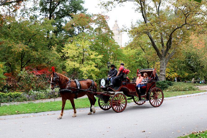 Central Park Carriage Ride w/ Drop Off @ Tavern On Green (45 min) - Price and what $220 means for a small group