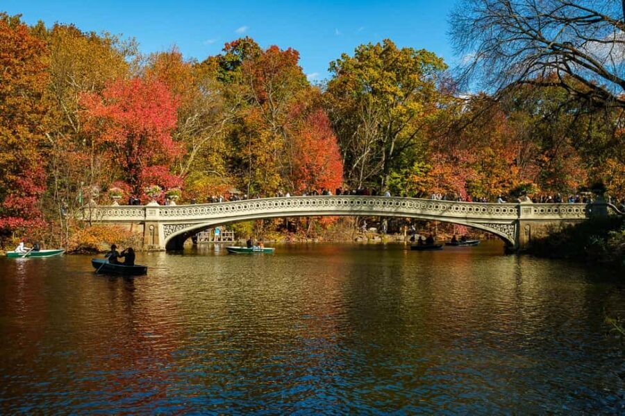 Central Park Guided Bike Tour - The Dairy Visitor Center and the statue-driven story beats