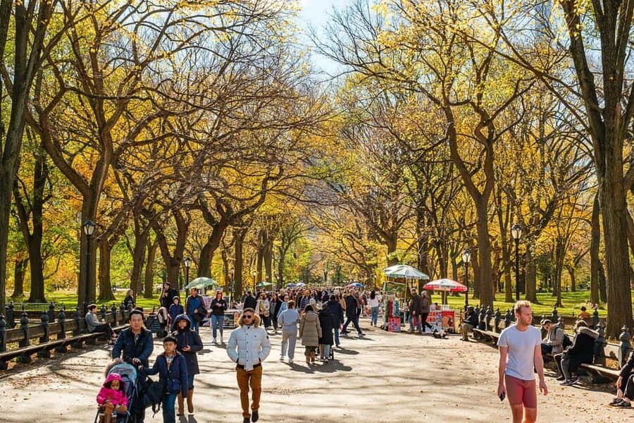 Central Park Guided Bike Tour - Conservatory Water, Pilgrim Hill, and the gentler pace of the middle