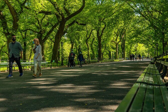 Central Park Guided Tours Pedicab - Bow Bridge, Cherry Hill, and the Lake views that feel like a postcard