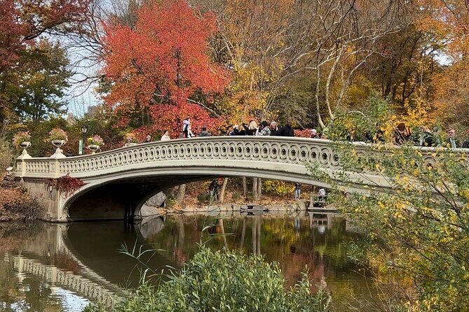 Central Park Guided Tours Pedicab - Chess and checkers, a carousel classic, and the old-school Dairy