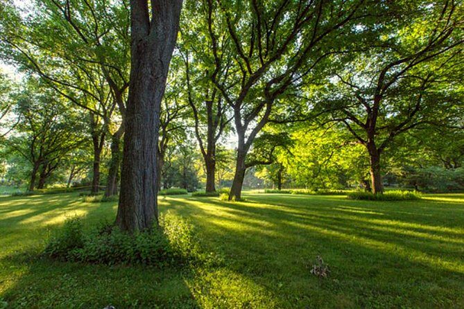 Central Park Guided Walking Tour - Wildlife, plants, and spotting tricks you’ll actually use