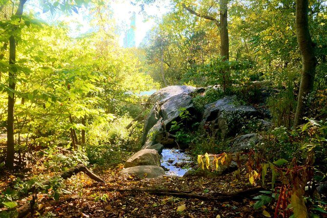 Central Park Guided Walking Tour - Natural Marvels - Key takeaways before you go