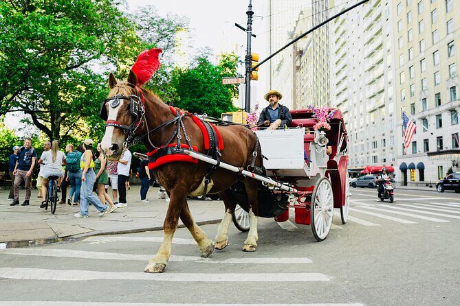 Central Park Horse and Carriage Rides - Price and Value: When $189 Makes Sense for Up to 4