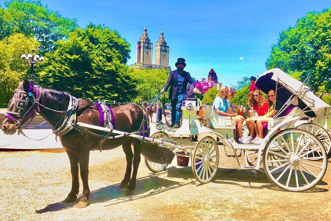 Central Park Horse and Carriage Rides - Where You Start: West 59th Street and a Mobile Ticket