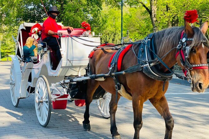Central Park Horse and Carriage Rides - The Route in Motion: Carousel, Zoo, Balto, and Celebrity Apartments