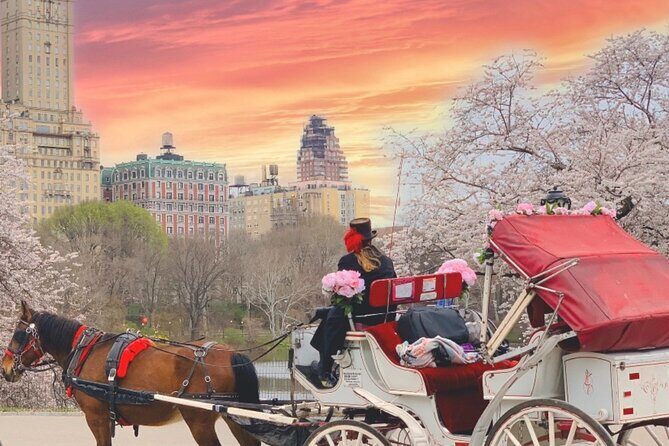 Central Park Horse and Carriage Rides - Central Park Literary Walk: Elm Tree Arches and Movie Memories