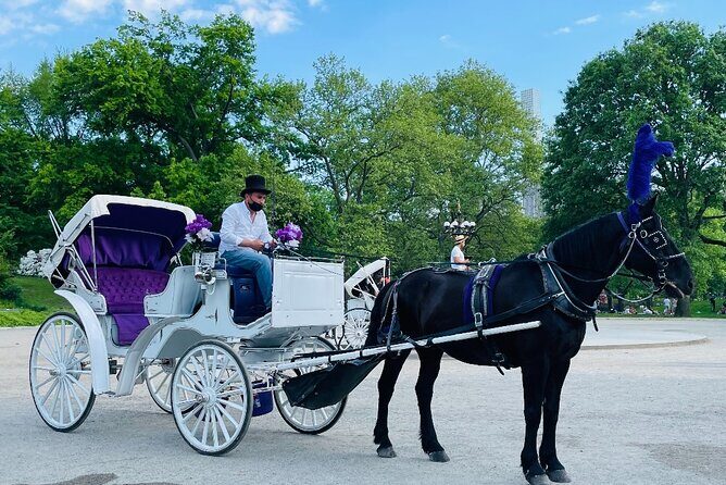 Central Park Horse and Carriage Rides - 45 Minutes vs 60 Minutes: Choose Your Pace
