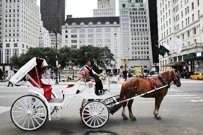Central Park Horse Carriage Ride - Quick Hits Before You Go
