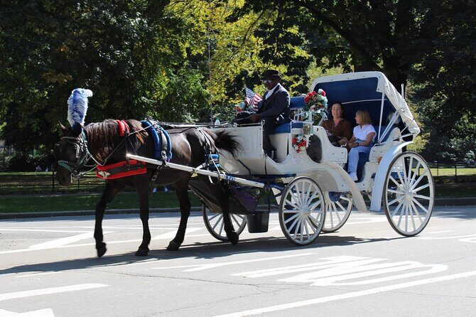 Central Park Horse Carriage Ride - Southern Central Park Highlights: From Cop Cot to Wollman Rink