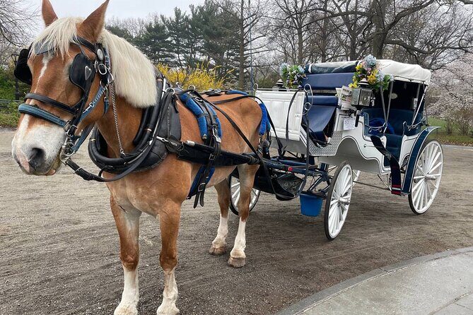 Central Park Horse Carriage Ride - Literary Walk to Balto: Stories That Add Meaning to the Photos