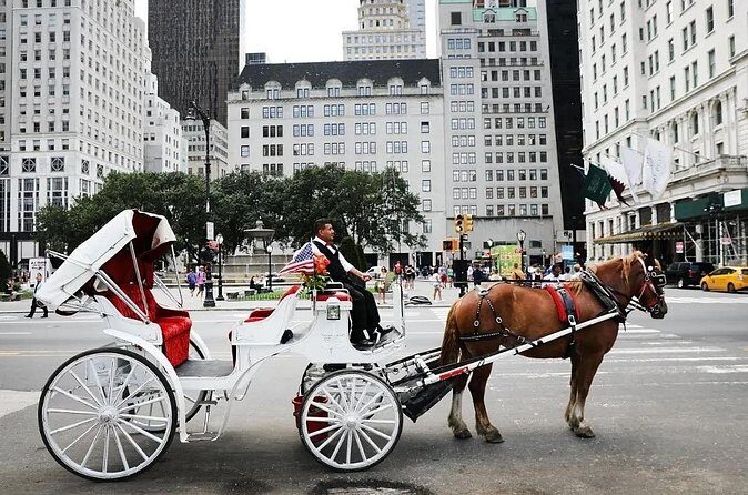 Central Park Horse Carriage Ride - The Mall Under the Elm Canopy: Shaded, Straight, and Easy to Follow