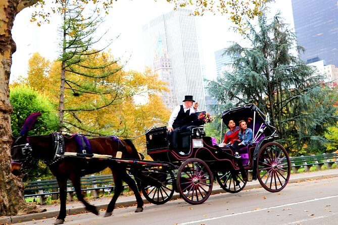 Central Park Horse Carriage Ride Short Loop (Up to 4 Adults)) - Price and Logistics: $115 Per Carriage (Up to Four Adults)
