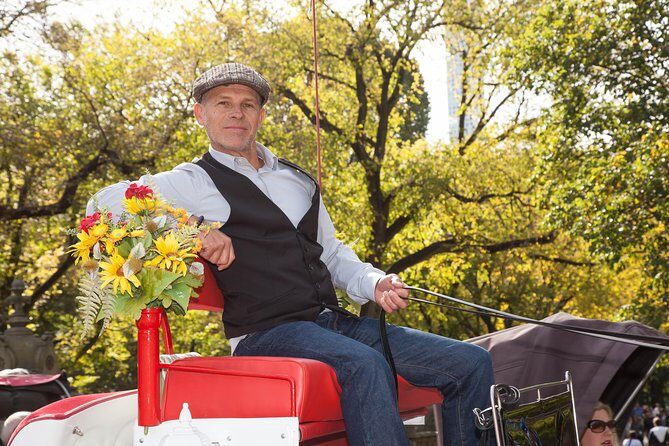 Central Park Horse Carriage Ride Short Loop (Up to 4 Adults)) - Your Private Carriage and Guide: How the Experience Feels