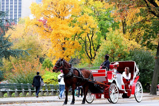 Central Park Horse Carriage Ride Short Loop (Up to 4 Adults)) - Winter Comfort: Blankets, Roof Options, and Horse Treats