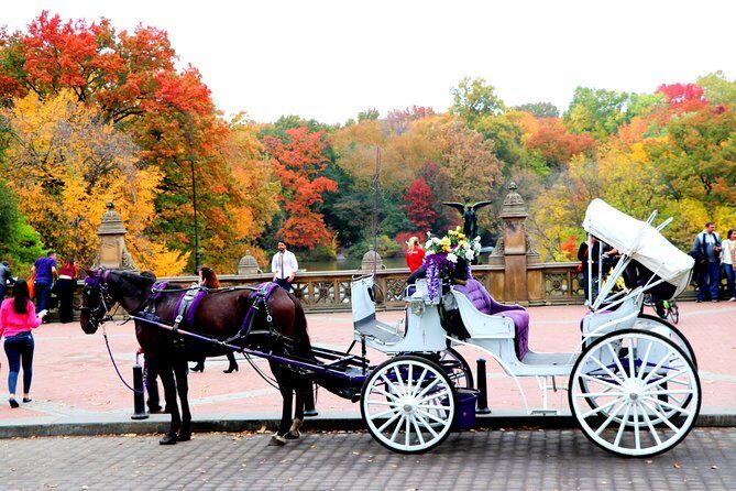 Central Park Horse Carriage Ride Short Loop (Up to 4 Adults)) - How to Get the Best Photos (Without Stressing Out)