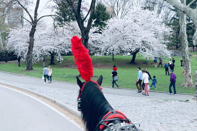 Central Park Horse Carriage Ride Short Loop (Up to 4 Adults)) - What Can Go Wrong (and How You Prevent It)
