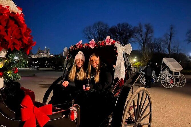 Central Park Moonlight Tour with Photo (45 min) ~ Skip the line - Key points to know before you go