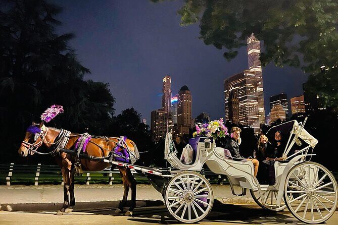 Central Park Moonlight Tour with Photo (45 min) ~ Skip the line - The 45-Minute Route: South, East, North, and West Sights