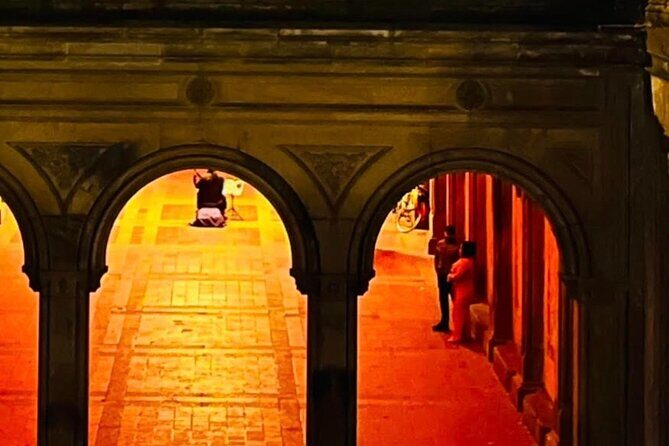 Central Park Moonlight Tour with Photo (45 min) ~ Skip the line - Photo Stop and Horse Feeding: The Two Moments You’ll Remember