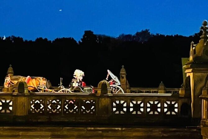 Central Park Moonlight Tour with Photo (45 min) ~ Skip the line - Blankets, Pace, and How Guides Keep It Comfortable