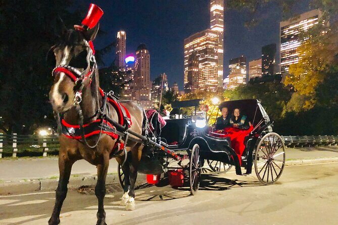 Central Park Moonlight Tour with Photo (45 min) ~ Skip the line - Timing Choices: Early vs Late-Evening Departures