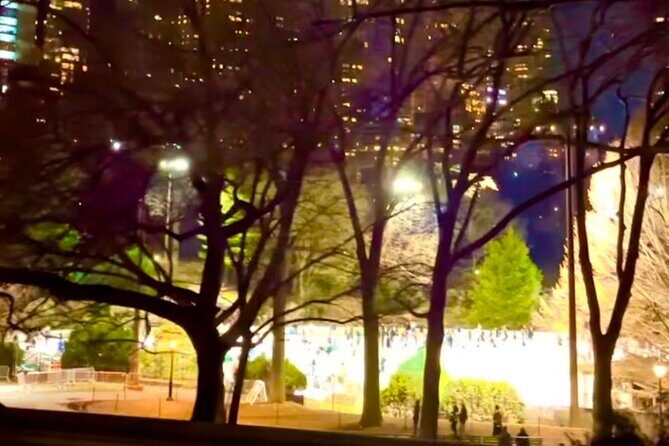 Central Park Moonlight Tour with Photo (45 min) ~ Skip the line - Price and Value: $199.99 for a Private Group