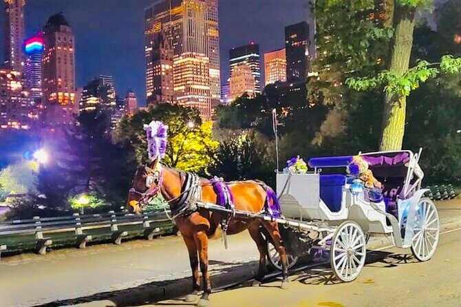 Central Park Moonlight Tour with Photo (45 min) ~ Skip the line - Weather and Heat: When Central Park Plans Can Change