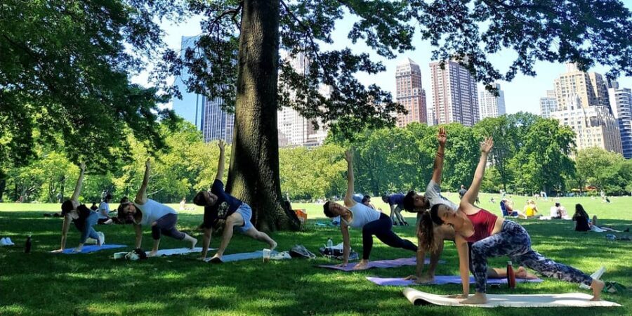 Central Park, New York: Yoga Classes in the park since 2012 - Central Park Grass: Why This Yoga Spot Works