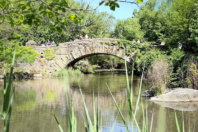 Central Park Pedicab Guided Tours with Theater - Where to meet at 1415 6th Ave and how the private ride feels
