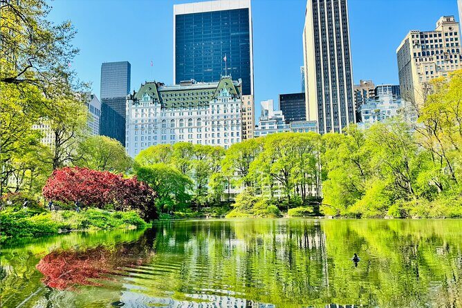 Central Park Pedicab Tour / Photo Stops - Carousel horses and chess tables: small pauses that feel big
