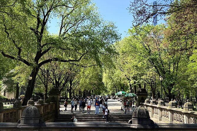 Central Park Pedicab Tour with local Guide - Photo-stop help: why guides matter more than the ride itself