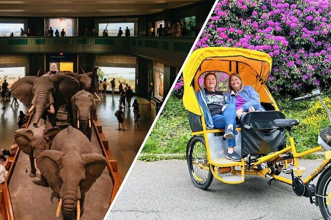 Central Park Pedicab Tour with Natural History Museum Access - First stretch: carousel, rink, Plaza views, zoo, and Balto