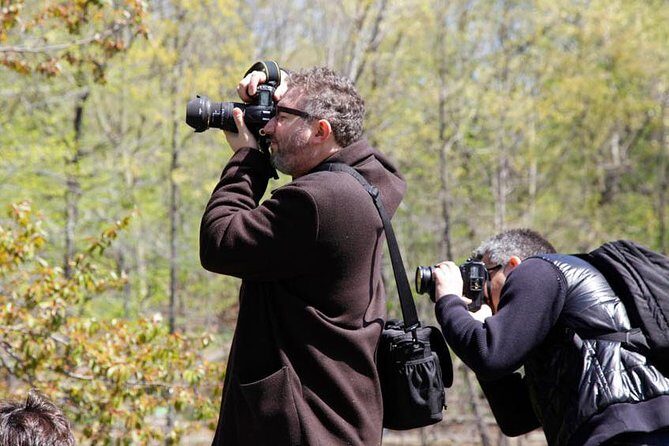 Central Park Photography Tour with Local Photographer - How the workshop actually helps your photos (not just your photoshoot)